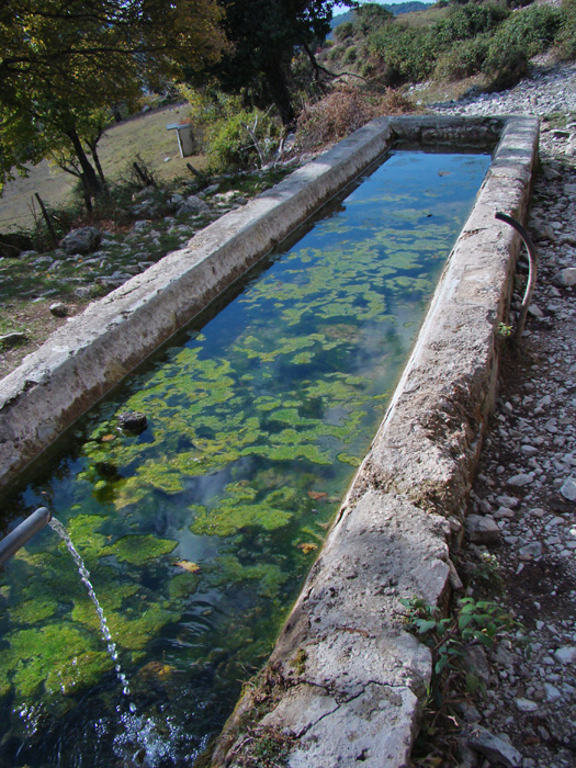 Fontanili del Lazio